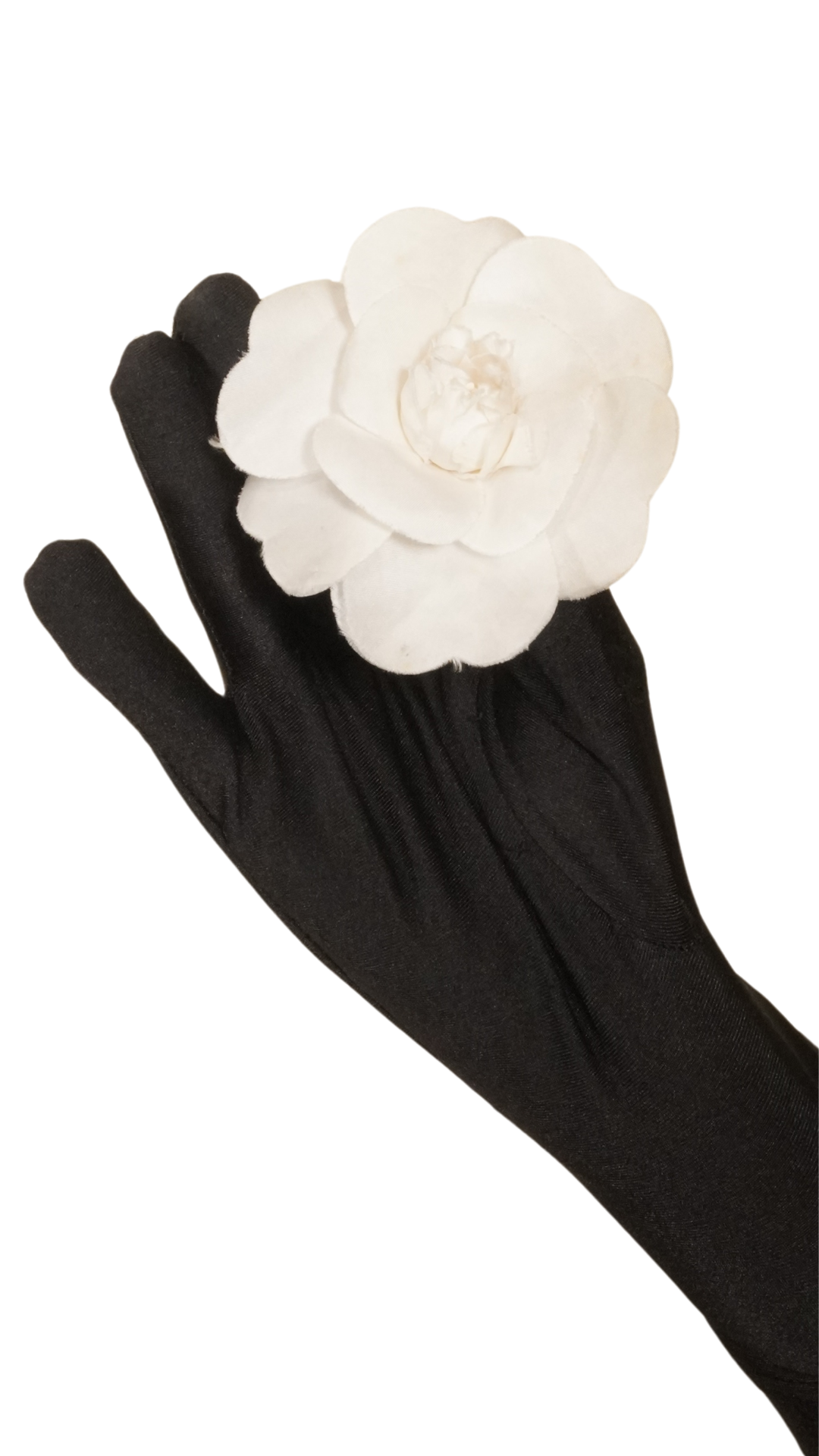 Broche Rosa Chanel