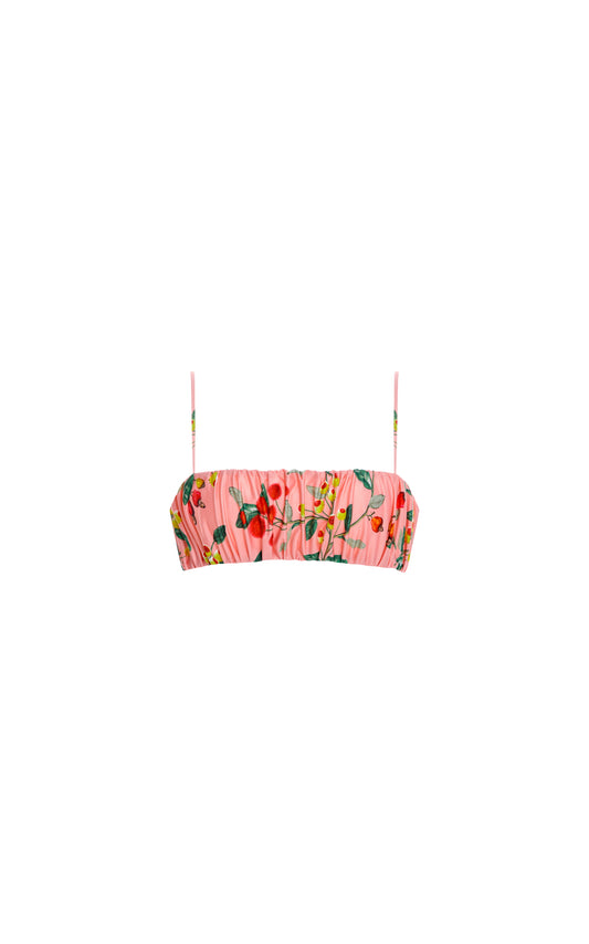 Eneldo Frutal Bikini Top