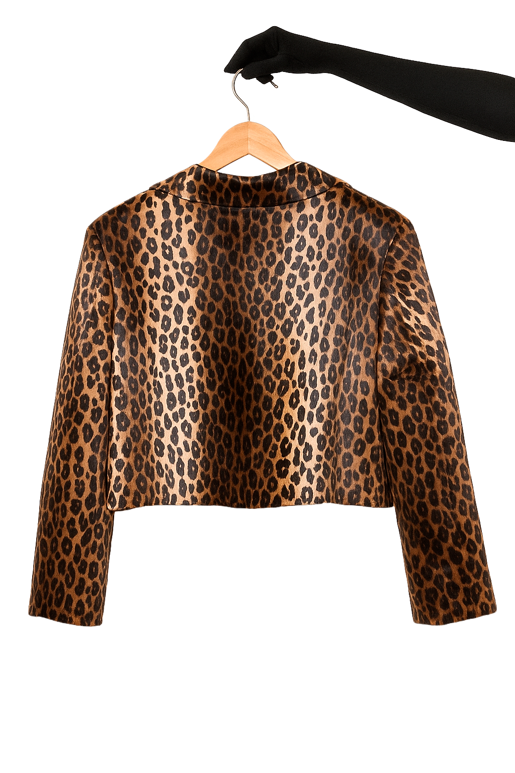 Philosophy Di Lorenzo Serafini